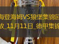 德甲-格爾哈特破門達爾代建功海登海姆1-3沃爾夫斯堡