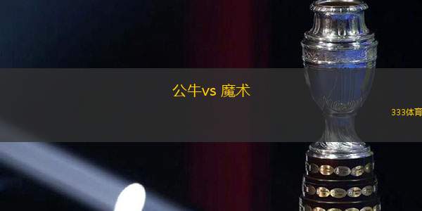 公牛vs 魔術(NBA)
