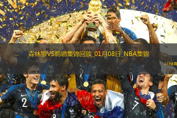 01月08日NBA常規(guī)賽森林狼-鵜鶘精彩鏡頭