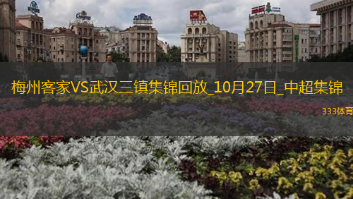 中超-梅州1-0武漢三鎮(zhèn)升至第13位逃離降級區(qū)羅德里格制勝