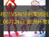 06月24日歐洲杯小組賽A組第3輪蘇格蘭vs匈牙利精彩片段