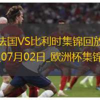 07月02日歐洲杯1/8決賽法國vs比利時(shí)精彩片段