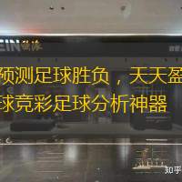 預(yù)測足球勝負(fù)，天天盈球競彩足球分析神器