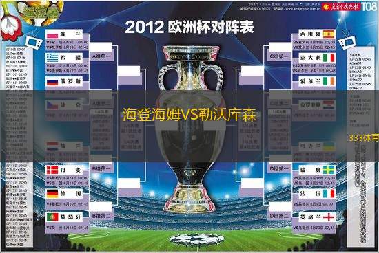 海登海姆VS勒沃庫森