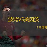 波鴻VS美因茨
