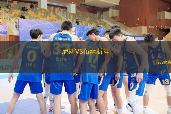 尼斯VS布雷斯特