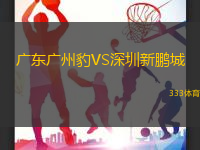 廣東廣州豹VS深圳新鵬城