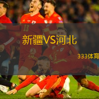 新疆VS河北