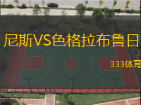 尼斯VS色格拉布魯日