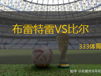 布雷特雷VS比爾