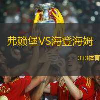 弗賴堡VS海登海姆