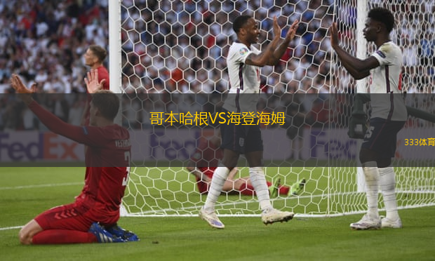 哥本哈根VS海登海姆