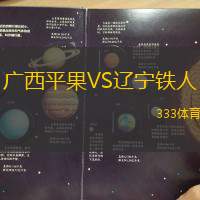 廣西平果VS遼寧鐵人