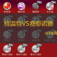 特溫特VS費耶諾德